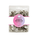 Dream World Slide - In Pin Curl Clip Br58140