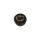 Eve Hair Fashion Bun EV-010