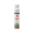 IC Fantasia Hair Polisher Styling Foam 8.5 oz.