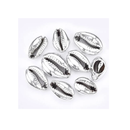 Beauty Town Small Plated Cowrie Shell 07132