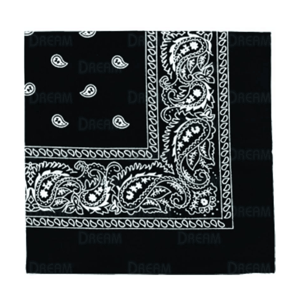 Dream Bandana Folded