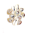 Brittny Hair Shell Beads