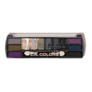 L.A. Colors Day to Night Eyeshadow Palette