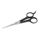 Beauty Town Cutting Shears Scissors 6 1/2''